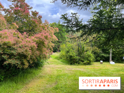 Arboretum de la Roche-Guyon - nos photos - image00007