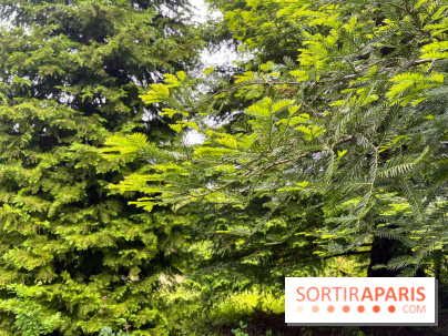 Arboretum de la Roche-Guyon - nos photos