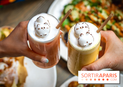 Brunch indien à Paris par Baranaan et Pingwoo -  lassis rose et mangue