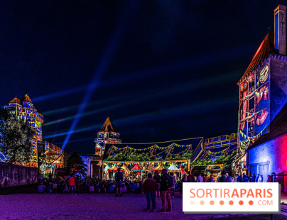 Lumières de Blandy : l'héritage des vicomtes, le spectacle sons et lumières -  large