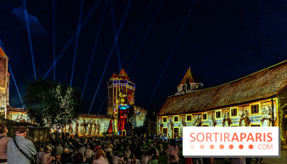 Lumières de Blandy : l'héritage des vicomtes, le spectacle sons et lumières -  A7C8086