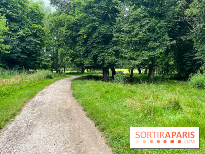 Domaine de Chamarande - nos photos - image00020