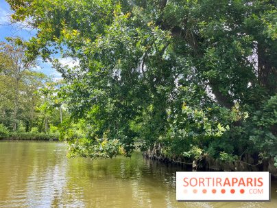 Domaine de Chamarande - nos photos - image00007