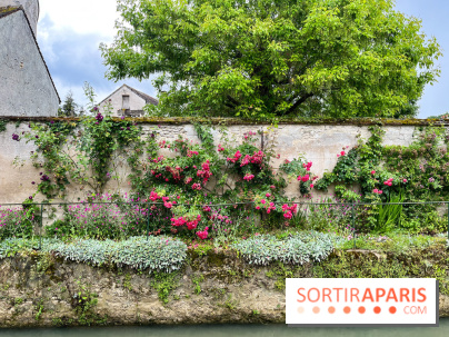 Crécy-la-Chappelle - nos photos - image00056