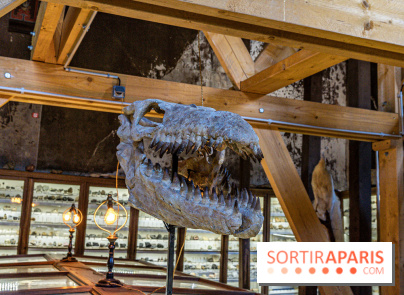 Un dinosaure géant au Château de Dampierre - Jurassique au Château de Dampierre
