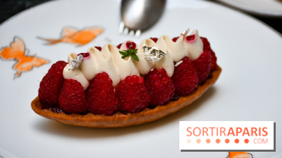 Comestibles comptoir gourmand et terrasse confidentielle par Paul Pairet à l'Hôtel de Crillon - DSC 1771