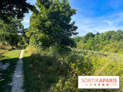 Le parc Georges-Valbon de la Courneuve - nos photos - image00001