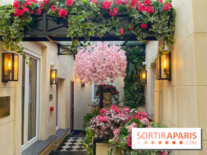 Maison Bohème, - IMG 2820