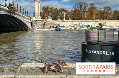 Paris Sausage Walk 2024 : la marche des teckels de retour dans la capitale - image00001