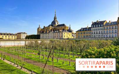 Les Saveurs du Potager du Roi à Versailles : marché de fruits & légumes, expositions et animations