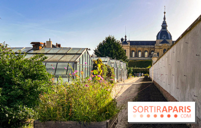 Les Saveurs du Potager du Roi à Versailles : marché de fruits & légumes, expositions et animations
