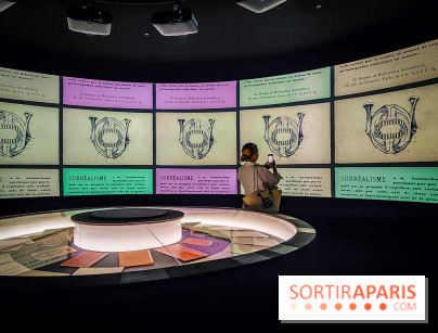 Le surréalisme : l'exposition exceptionnelle qui célèbre les 100 ans du mouvement au Centre Pompidou - IMG20240903165550