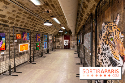 Street-art Madeleine, les photos - A7C1810