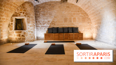 Maison Alaena, le repaire du bien-être à République - DSC 2037 2