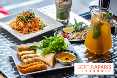 Viet 1331, le restaurant karaoké vietnamien immersif du 13e - entrées