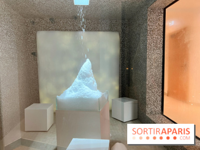 Dolce by Wyndham Versailles - Domaine du Montcel