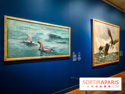 Bruno Liljefors, la Suède sauvage : l'exposition poétique se dévoile en images au Petit Palais - IMG20240930101553