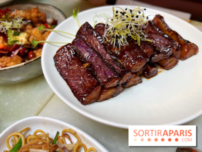 Red Katz - Aubergines Hongshao