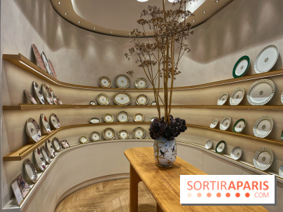 Institut Bernardaud - porcelaine