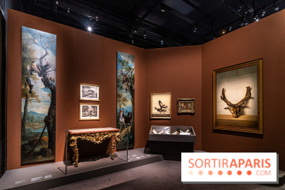 Les photos de l'exposition Oudry, peinte de courre au Château de Fontainebleau