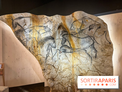 La Grotte Chauvet à la Cité des Sciences, nos photos  - image00010