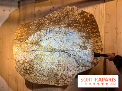 La Grotte Chauvet à la Cité des Sciences, nos photos  - image00005