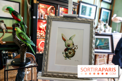 Benjamin Lacombe, nos photos de son exposition chez Deyrolle à Paris