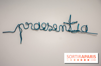 Exposition Praesentia de Myriam Mihindou au Palais de Tokyo - DSC 1619