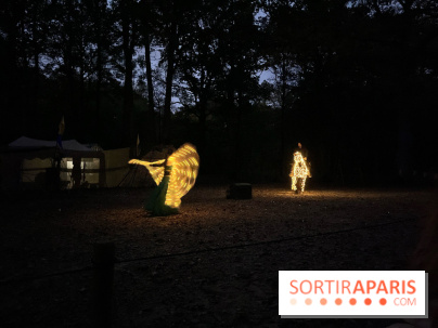 Les Esprits de la Forêt - IMG 5639