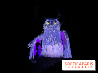 Les Esprits de la Forêt - IMG 5671