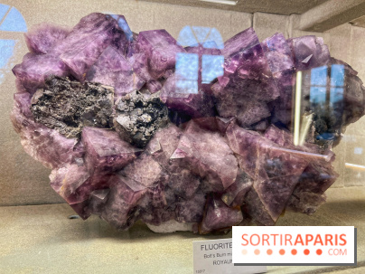 Musée de Minéralogie - IMG 5818