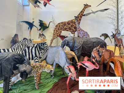 La faune en plis - nos photos - image00025