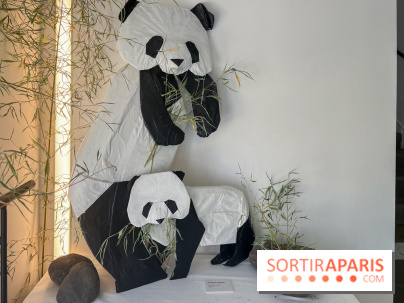 La faune en plis - nos photos - image00021