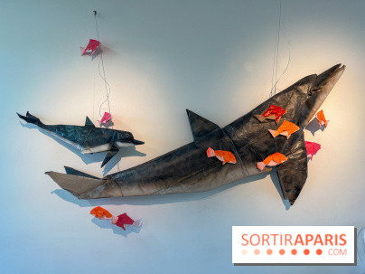 La faune en plis - nos photos - image00015