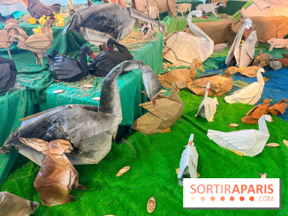 La faune en plis - nos photos - image00008