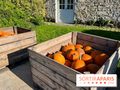 La Fête de la Citrouille - nos photos - image00031