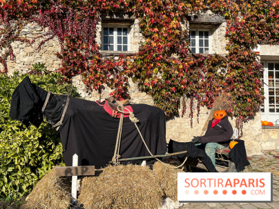 La Fête de la Citrouille - nos photos - image00016