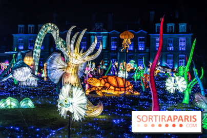 Thoiry Lumières Sauvages 2024, les Voyages Extraordinaires de Jules Verne - photos - A7C5513