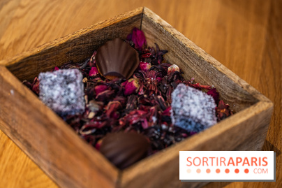 L'Auberge Nicolas Flamel : la plus vieille auberge de Paris et son menu gastronomique - A7C5380