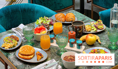 Le Doggy Brunch : le brunch gourmand entre chiens et maîtres à l'hôtel Kimpton Saint Honoré Paris - image00055