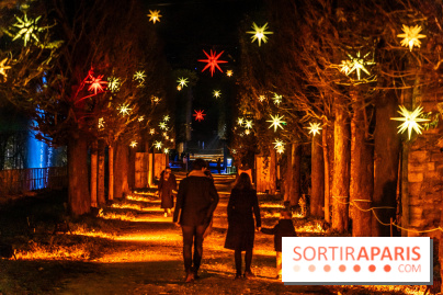 Lumières en Seine 2024, le parcours de lumières féérique et animé - A7C6590