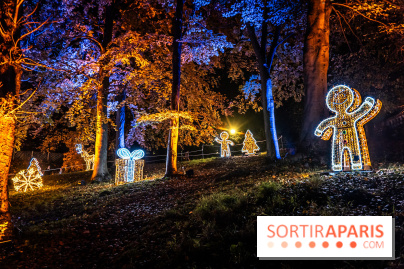 Lumières en Seine 2024, le parcours de lumières féérique et animé - A7C6617