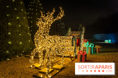 Lumières en Seine 2024, le parcours de lumières féérique et animé - A7C6686