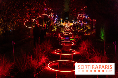 Lumières en Seine 2024, le parcours de lumières féérique et animé - A7C6713