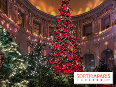 Noël 2024 au Château de Vaux-le-Vicomte : une expérience magique avec une patinoire