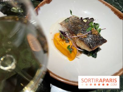 Onyx - Poisson, carotte, gingembre