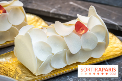 La bûche coffrets de Noël en trompe l'œil de Ladurée 2024 par Julien Alvarez et les créations de fête -  A7C2310