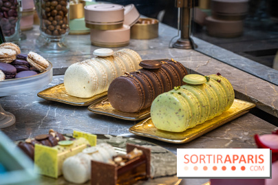 La bûche coffrets de Noël en trompe l'œil de Ladurée 2024 par Julien Alvarez et les créations de fête -  A7C2313