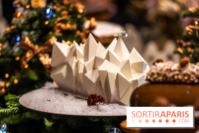 Les bûches de Noël de Jeffrey Cagnes 2024 - photos -  Montage exotique - Cupra
