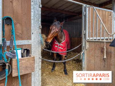 Domaine de Maffliers : notre test de l'escapade champêtre et équestre by Demeures de Campagne - IMG 1370